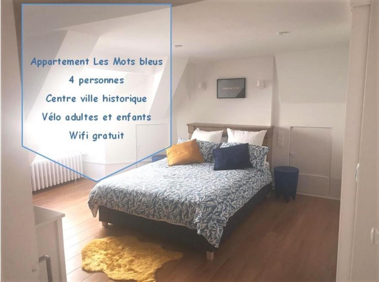 Centre Historique - Calme - Les Mots Bleus *